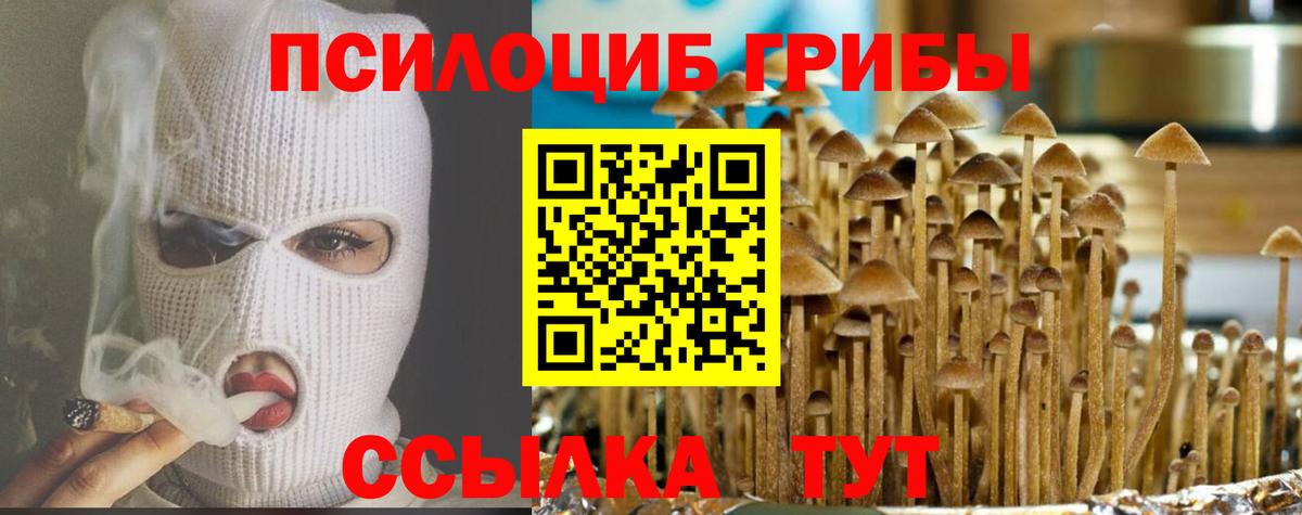 Куйбышев  Галлюциногенные грибы Psilocybine cubensis  Вход с VPN  Псилоцибиновые грибы мухоморы 
